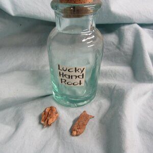 2 pieces lucky hand root wicca herbs (H158)